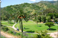 Catalina Golf