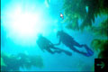 Diving